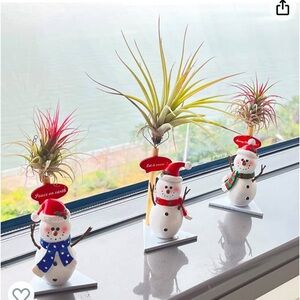 NWT Festive Snowman Air Plant Holders - Set of 3, Christmas Decor
